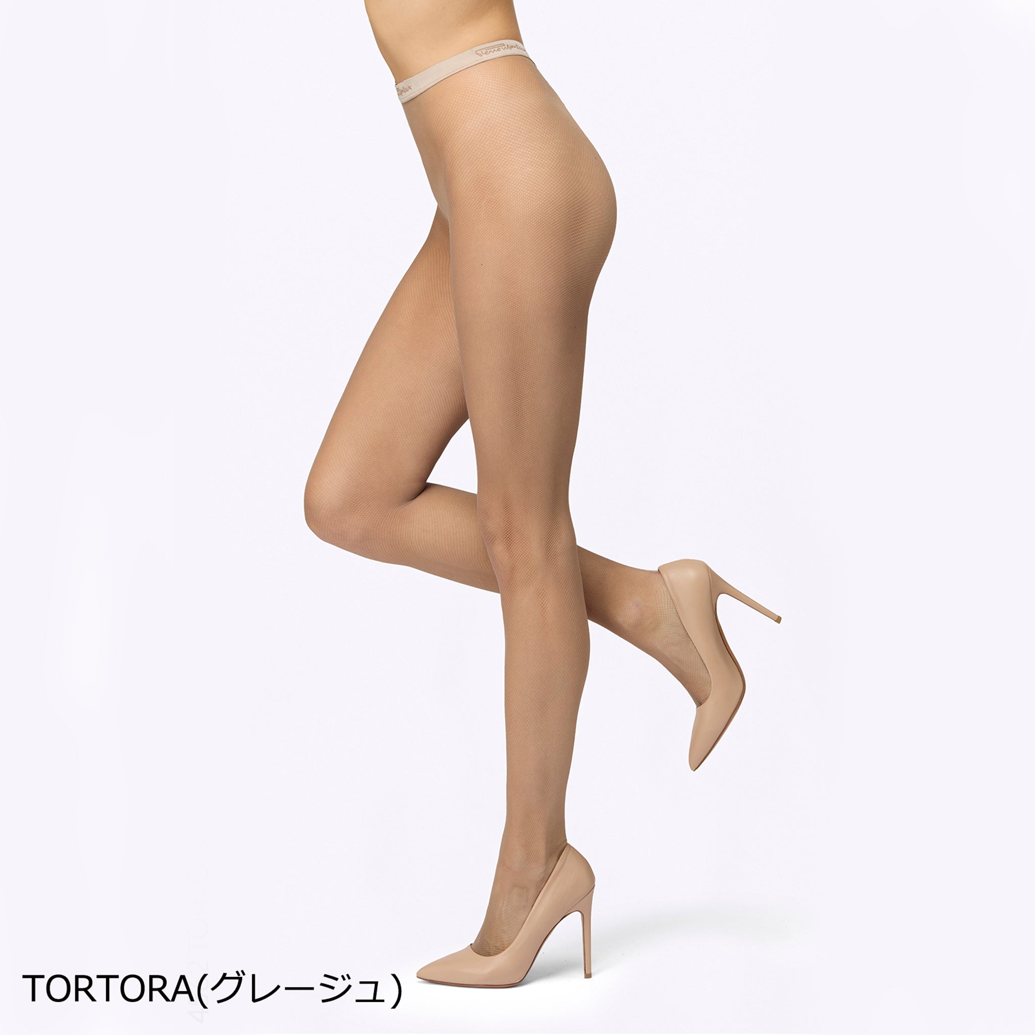マイクロネット