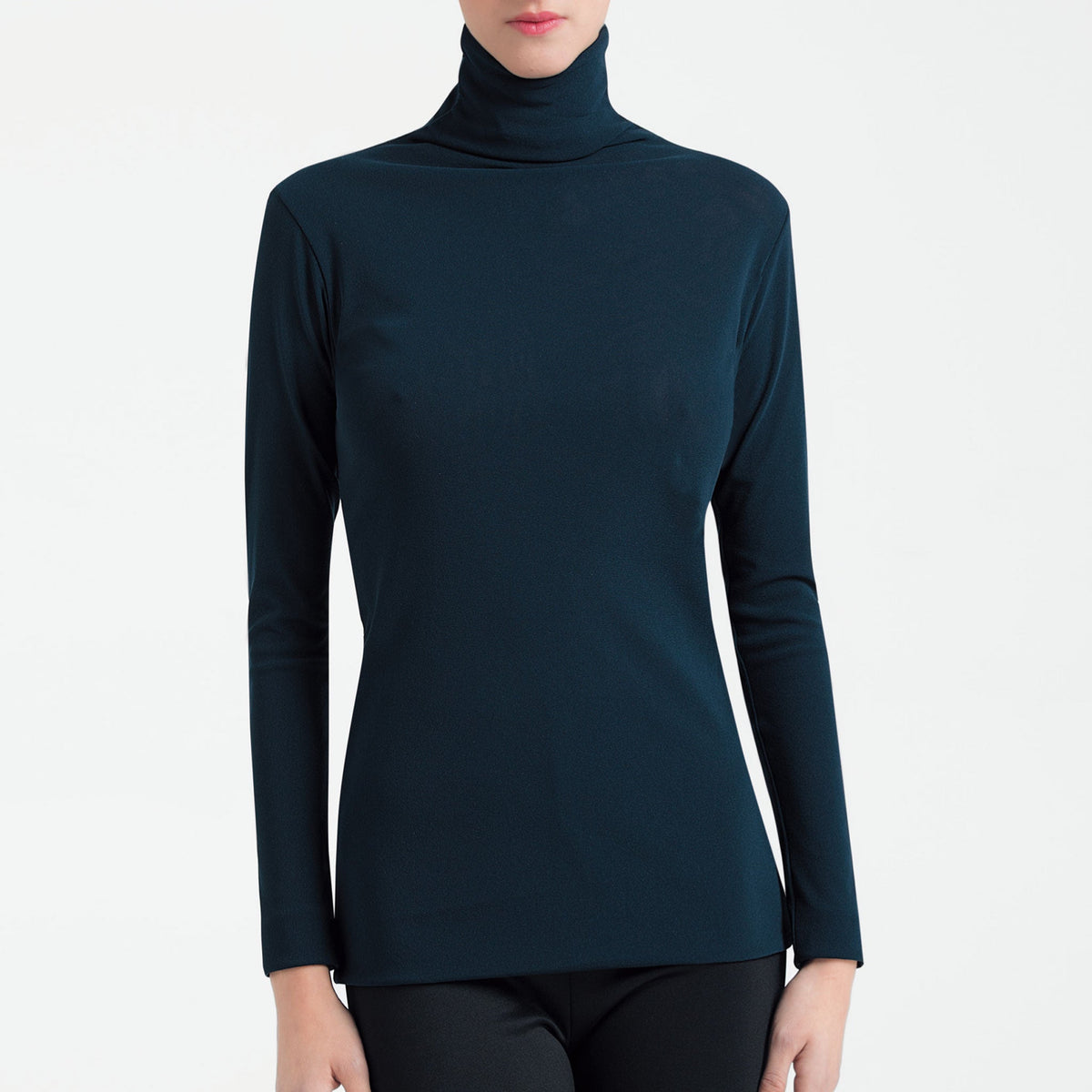 チュールハイネックプルオーバー/ MAGLIA COLLO ALTO TULLE/Pierre 